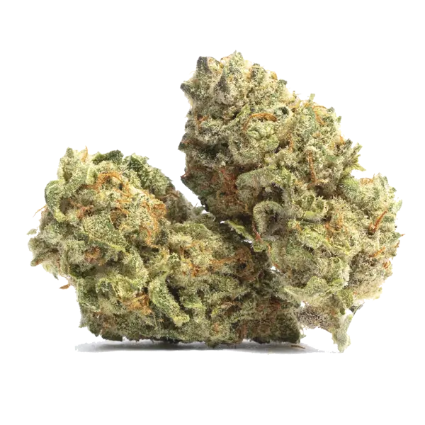 Detailed overview of Cobra Lips, a cannabis strain of type Hybrid including...